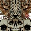 Eagle Snake - Image 2