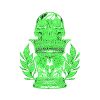 Vase Skull (Exclusive) - Image 3